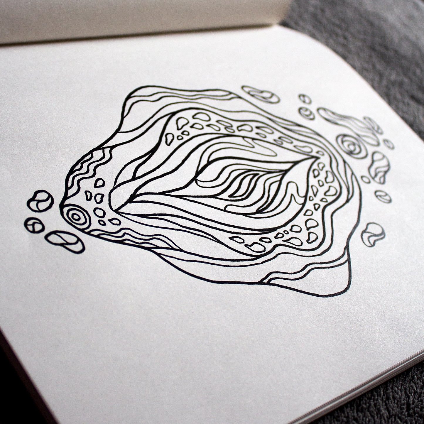 Malbuch Farbenfrohe Vulven | ISBN 9783950499100