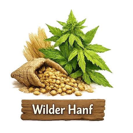 Wilder Hanf
